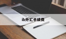 ib外汇手续费(外汇手续费是多少钱啊)