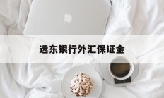 远东银行外汇保证金(银行的外汇交易保证金比例)